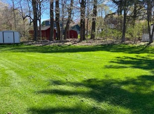 Ashley T.'s grass maintenance service result