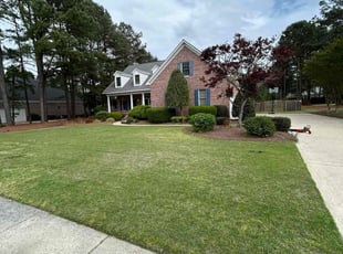 Debbie D.'s grass maintenance service result