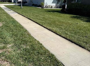Letchas c.'s turf care service result