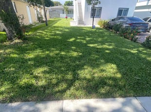Katie L.'s grass cutting service result
