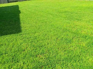 Keith A.'s lawn care services service result
