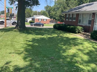 Ryan B.'s grass cutting service result