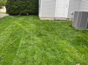 D&#039;Lyn C.'s lawn maintenance service result