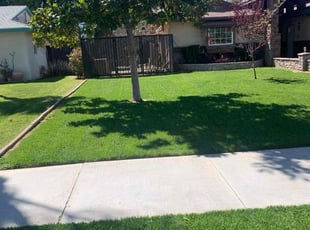 Bernice M.'s lawn service service result