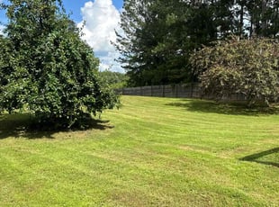 Thomas B.'s turf care service result