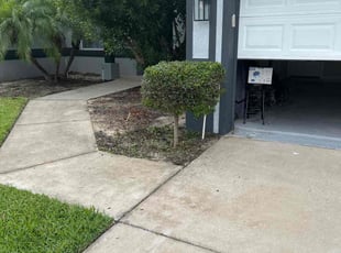 Troy F.'s Bush Trimming service result