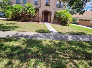 Cicely P.'s grass cutting service result