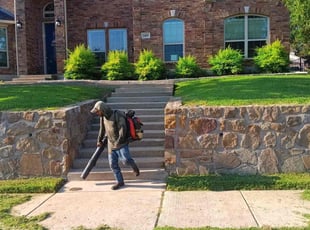 Sean D.'s turf maintenance service result