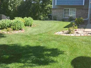 Robert P.'s turf care service result