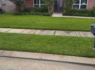 James W.'s turf maintenance service result