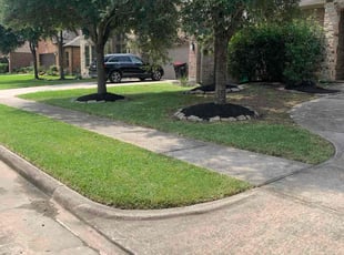 Kitty M.'s Cleanup service result