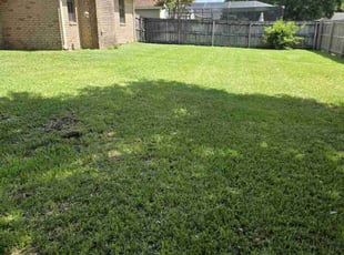 Joe M.'s turf maintenance service result