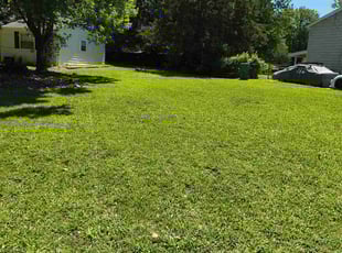 Cindy Z.'s lawn service service result