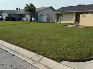 Josue C.'s lawn care service result