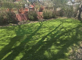 Christina T.'s grass maintenance service result