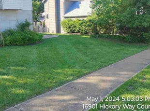 Jason Y.'s lawn maintenance service result