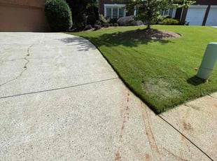 Stuart R.'s lawn maintenance service result