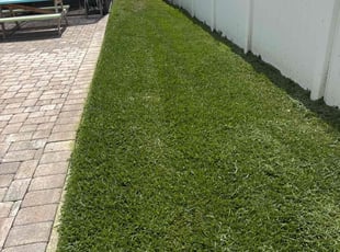 Steven F.'s lawn service service result