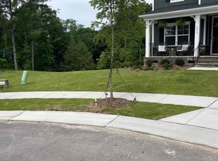 Kye T.'s lawn service service result
