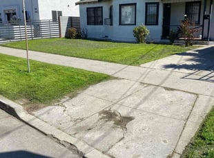 Zee D.'s turf maintenance service result