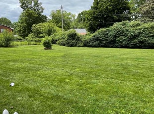 Sarabeth M.'s lawn maintenance service result