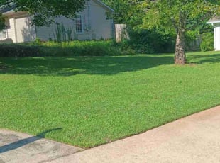 Jaime D.'s lawn care services service result