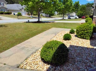 Muhazdeen I.'s lawn care services service result