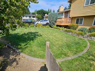 Lawrence G.'s grass maintenance service result