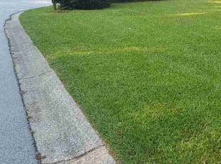 David R.'s grass cutting service result