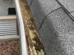 Anndell B.'s Gutter Cleaning service result