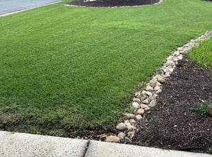 Taylor W.'s turf maintenance service result