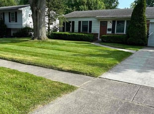Linda C.'s turf maintenance service result