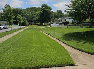 Rob D.'s lawn maintenance service result