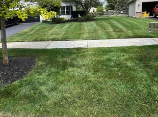 Samantha H.'s grass maintenance service result