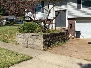 Elisus E.'s lawn maintenance service result