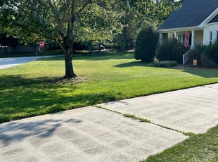Mayer B.'s lawn service service result