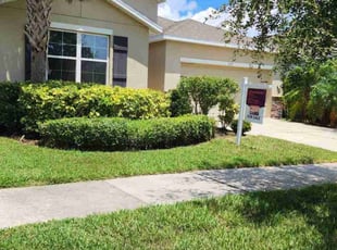 David H.'s Bush Trimming service result