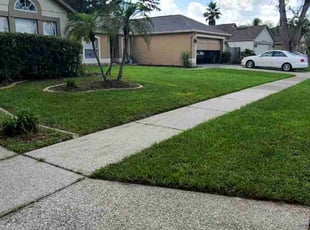 Teresa R.'s lawn service service result