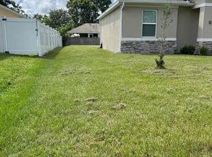 Robert L.'s turf maintenance service result