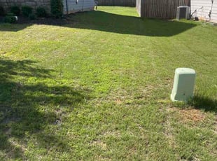 Joel M.'s grass cutting service result