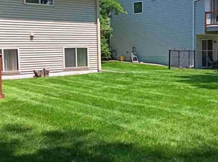 Jacqueline C.'s lawn care services service result