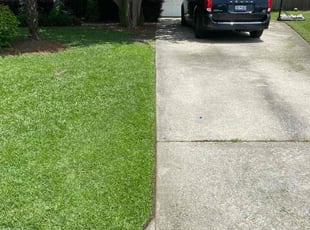 Luke L.'s grass cutting service result