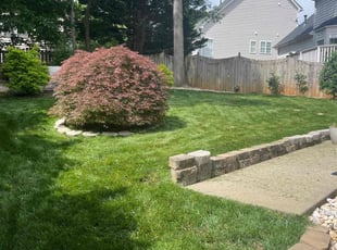 Tamra P.'s lawn care services service result