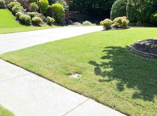 Kristen I.'s lawn maintenance service result