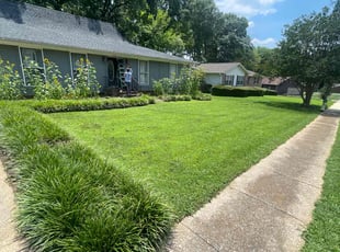 Jorge J.'s lawn maintenance service result