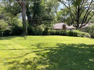 Risa M.'s turf care service result