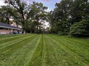 Jakeyla R.'s lawn care services service result