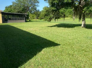 Jeremy G.'s turf care service result