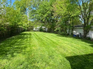 Lin T.'s lawn service service result