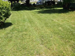 Benjamin S.'s grass maintenance service result